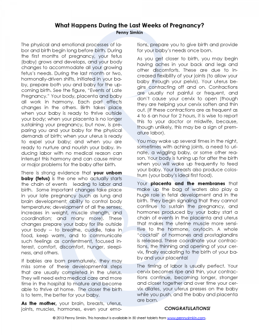 The Events of Late Pregnancy Tear Pad (pad of 50) - Image 2