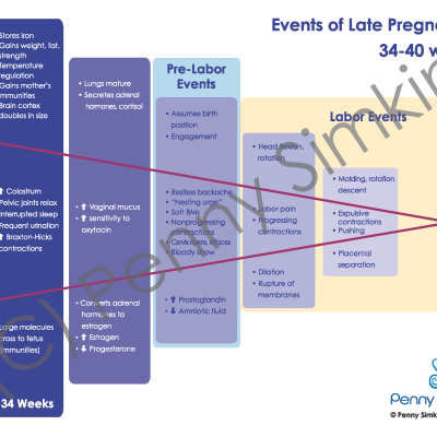 The Events of Late Pregnancy Tear Pad (pad of 50)