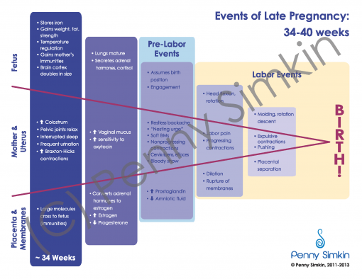 The Events of Late Pregnancy Tear Pad (pad of 50)